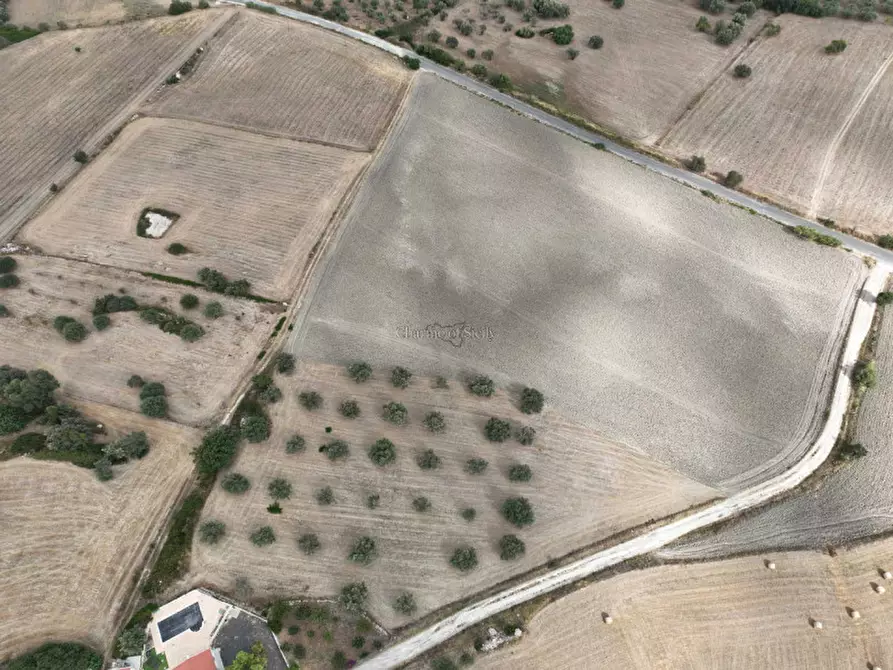 Immagine 10 di Rustico / casale in vendita  a Ragusa