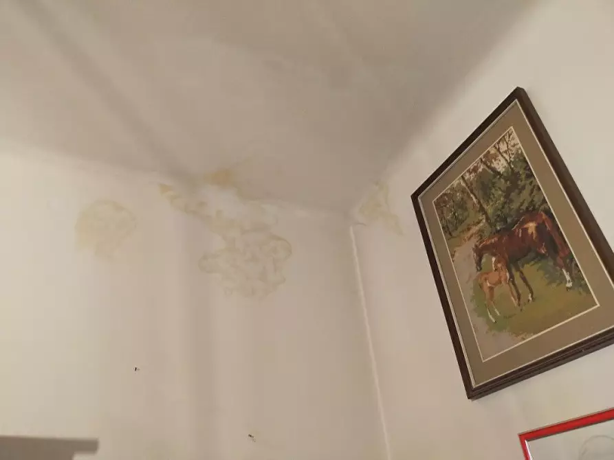 Immagine 5 di Appartamento in vendita  in Viale Baccarini 14 - 50034 Marradi (FI) a Marradi