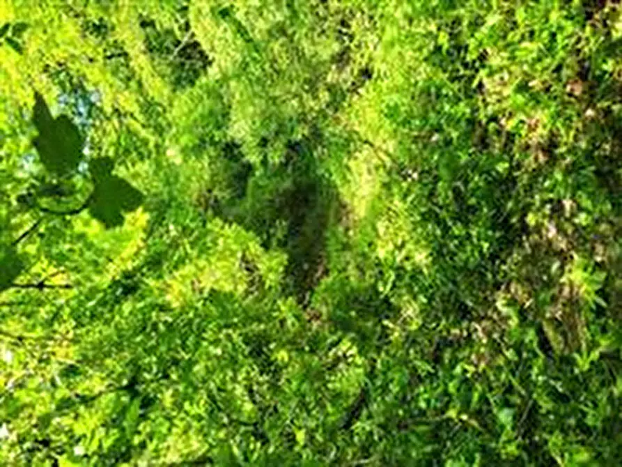 Immagine 19 di Casa indipendente in vendita  in Via Baruffaldi, 5, 23813 Cortenova LC, Italia a Cortenova