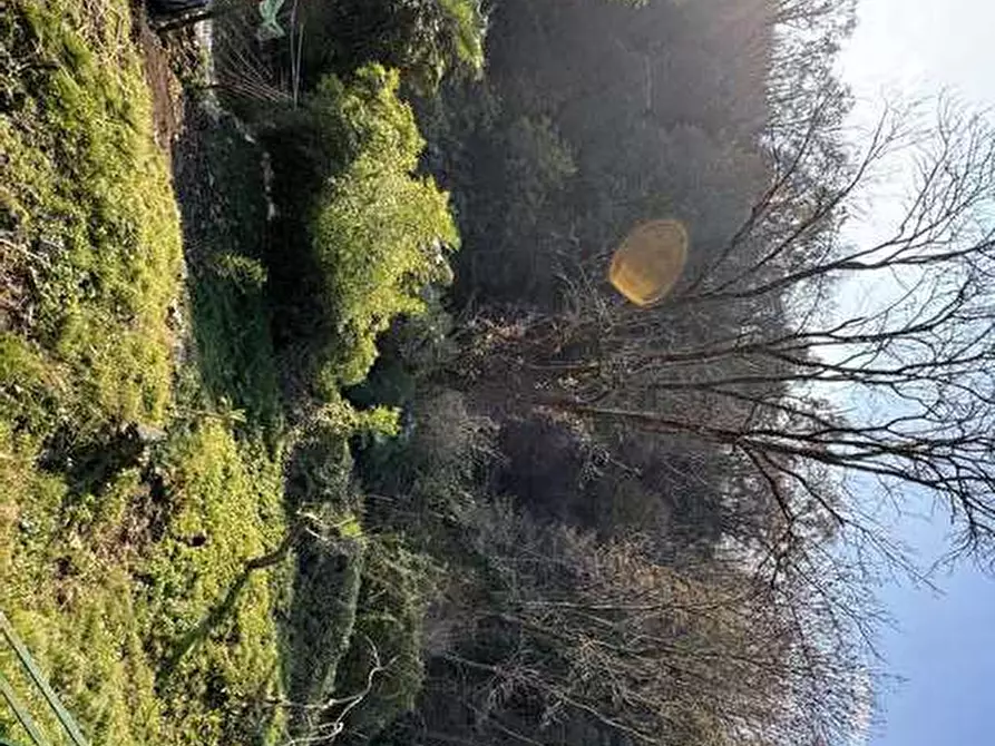 Immagine 1 di Villa in vendita  in Via Monte Santo, 17, 13836 Cossato BI, Italia a Cossato