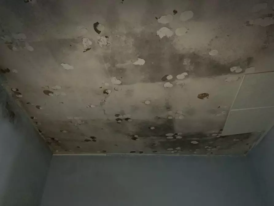 Immagine 3 di Appartamento in vendita  in VIA DEL MATTONATO N 8 - 01036 Nepi (VT) a Nepi