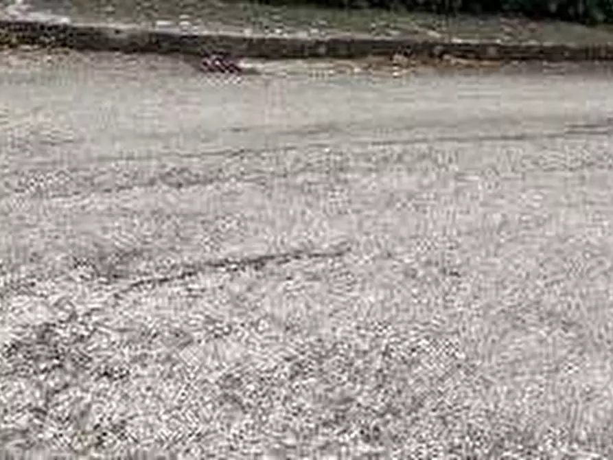 Immagine 8 di Appartamento in vendita  in Via  Pacifico Marini - 63027 Petritoli (FM) a Petritoli