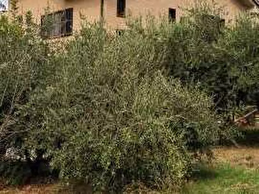 Immagine 10 di Appartamento in vendita  in Via  Pacifico Marini - 63027 Petritoli (FM) a Petritoli