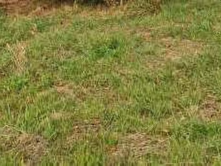 Immagine 11 di Appartamento in vendita  in Via  Pacifico Marini - 63027 Petritoli (FM) a Petritoli