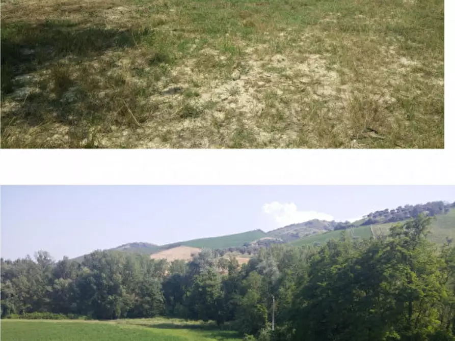 Immagine 2 di Rustico / casale in vendita  in Contrada Casale Piomba - 64032 Atri (TE) a Atri