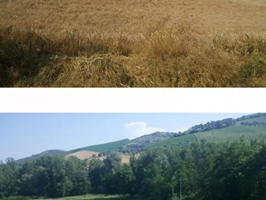 Immagine 4 di Rustico / casale in vendita  in Contrada Casale Piomba - 64032 Atri (TE) a Atri