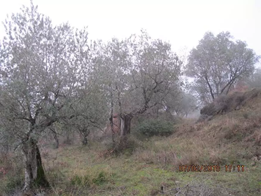 Immagine 4 di Appartamento in vendita  in Localita' Collegalle - Via Collegalle 21 Greve in Chianti (FI) a Greve In Chianti