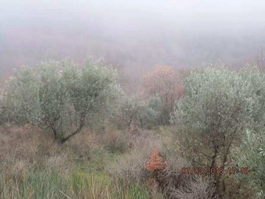 Immagine 5 di Appartamento in vendita  in Localita' Collegalle - Via Collegalle 21 Greve in Chianti (FI) a Greve In Chianti