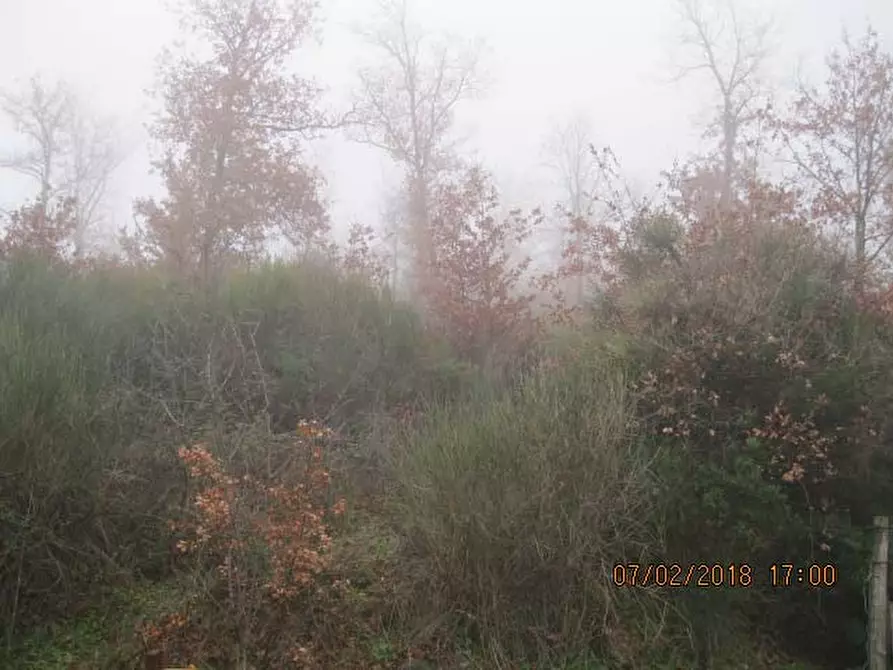 Immagine 6 di Appartamento in vendita  in Localita' Collegalle - Via Collegalle 21 Greve in Chianti (FI) a Greve In Chianti