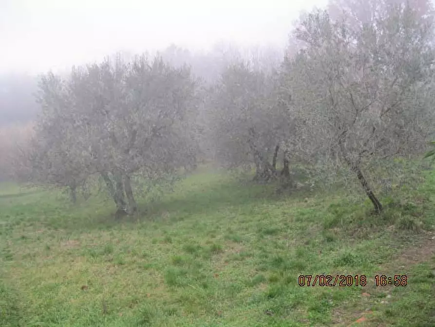 Immagine 7 di Appartamento in vendita  in Localita' Collegalle - Via Collegalle 21 Greve in Chianti (FI) a Greve In Chianti