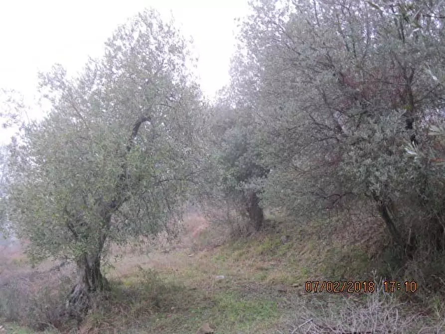 Immagine 8 di Appartamento in vendita  in Localita' Collegalle - Via Collegalle 21 Greve in Chianti (FI) a Greve In Chianti