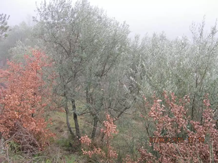 Immagine 9 di Appartamento in vendita  in Localita' Collegalle - Via Collegalle 21 Greve in Chianti (FI) a Greve In Chianti