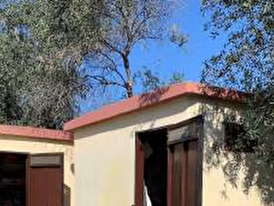 Immagine 6 di Villa in vendita  in Via San Mango  n20 - 76121 Bisceglie (BT) a Bisceglie