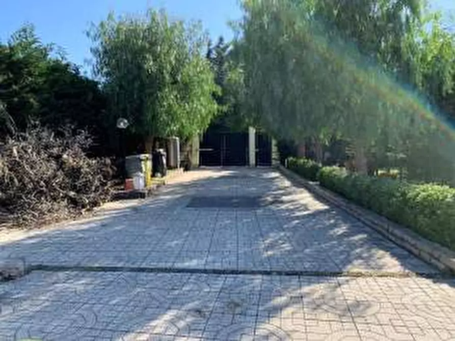 Immagine 8 di Villa in vendita  in Via San Mango  n20 - 76121 Bisceglie (BT) a Bisceglie