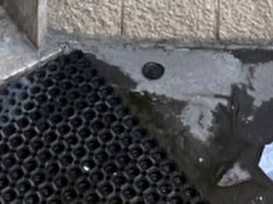 Immagine 7 di Appartamento in vendita  in Via Curtatone e Montanara, 109, 46029 Suzzara MN, Italia a Suzzara