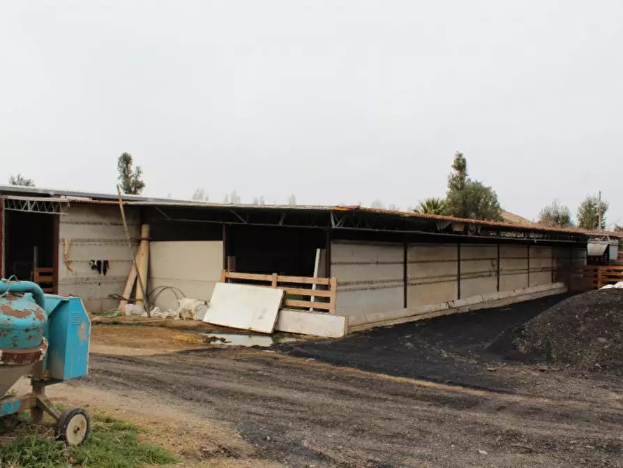 Immagine 18 di Rustico / casale in vendita  in Strada Statale Cassia - 01019 Vetralla (VT) a Vetralla