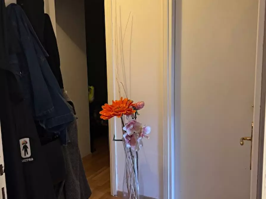 Immagine 6 di Appartamento in vendita  a Scorzè