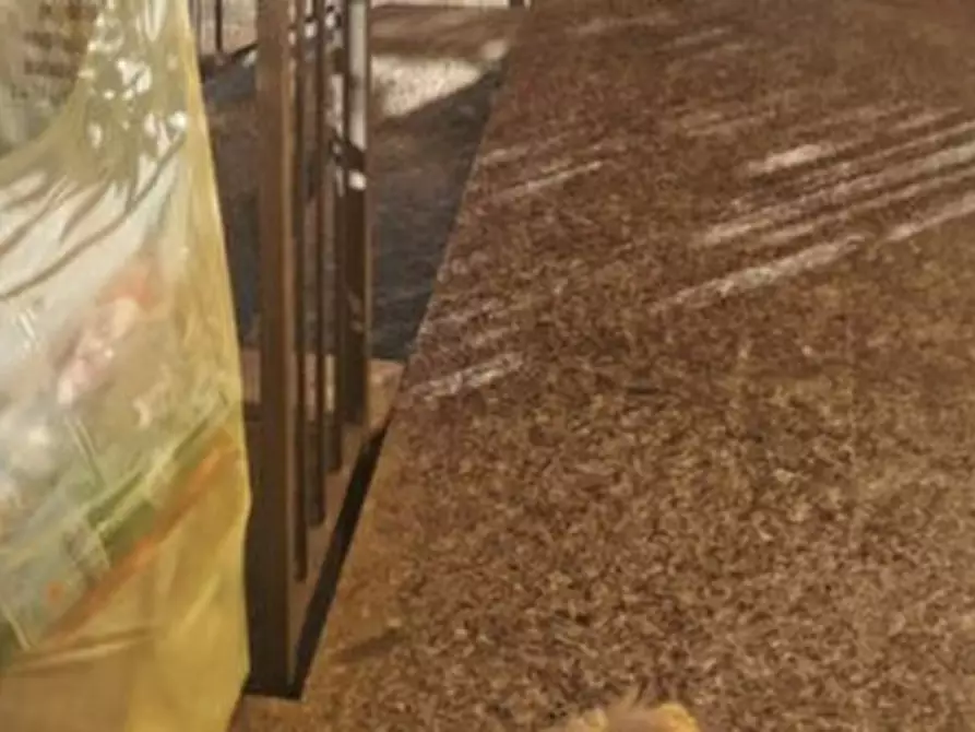 Immagine 5 di Appartamento in vendita  in Via del Rosario n 6 Fraz Mezzana Superiore - 21019 Somma Lombardo (VA) a Somma Lombardo