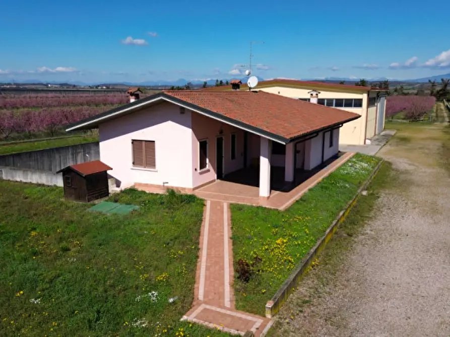 Immagine 7 di Villa in vendita  a Villafranca Di Verona