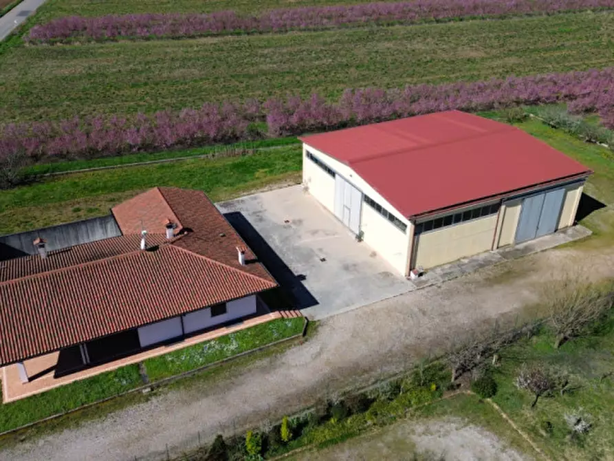 Immagine 10 di Villa in vendita  a Villafranca Di Verona