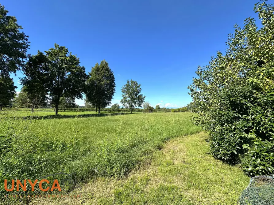 Immagine 3 di Casa indipendente in vendita  a Teolo
