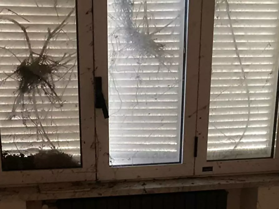 Immagine 16 di Appartamento in vendita  in Via San Lorenzo, 17 - 82010 San Nicola Manfredi (BN) a San Nicola Manfredi