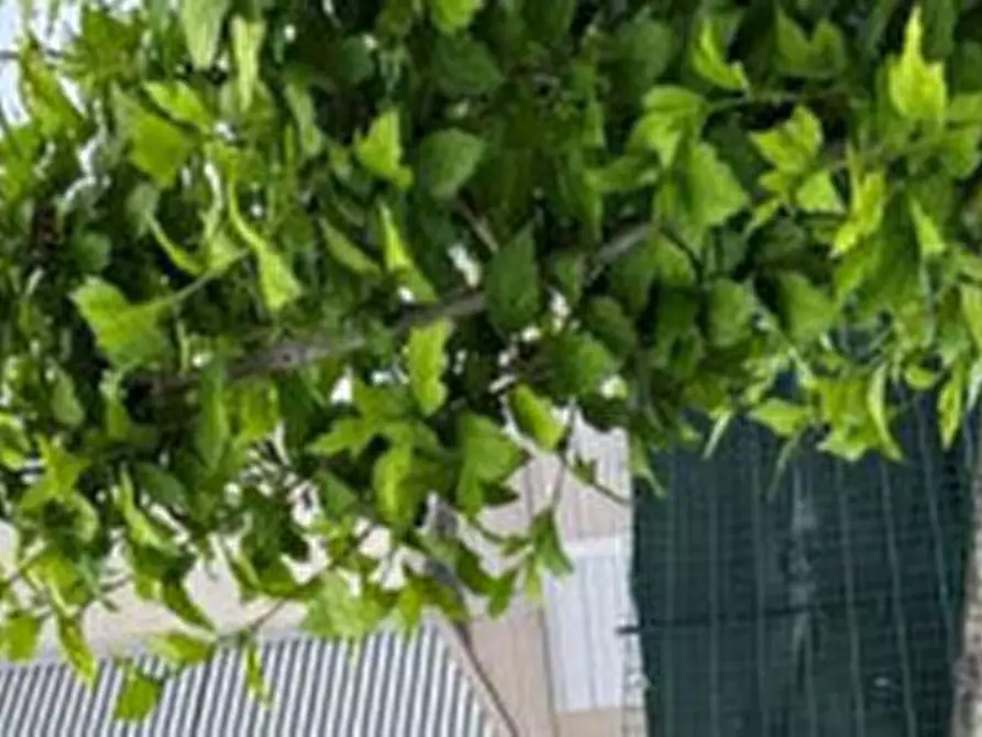 Immagine 3 di Appartamento in vendita  in Via PM Kolbe, 2, 21050 Cantello VA, Italia a Cantello