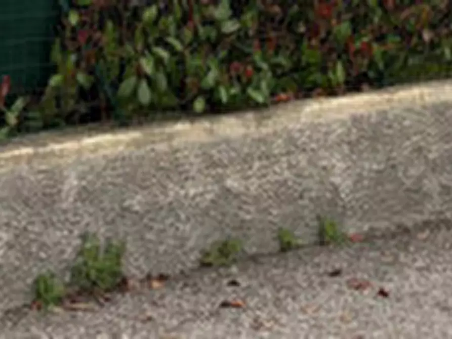 Immagine 12 di Appartamento in vendita  in Via PM Kolbe, 2, 21050 Cantello VA, Italia a Cantello