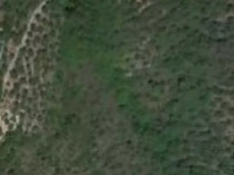 Immagine 5 di Appartamento in vendita  in Via Colle Snc - 03040 Vallerotonda (FR) a Vallerotonda