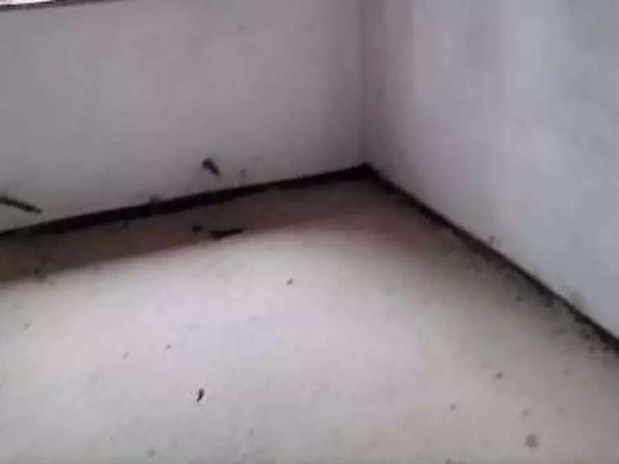 Immagine 2 di Appartamento in vendita  in Via Marino Saudelli snc - 61038 Terre Roveresche (PU) a Terre Roveresche