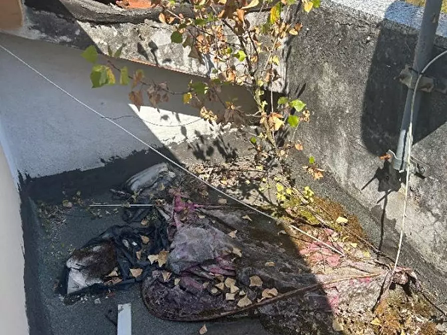 Immagine 10 di Appartamento in vendita  in Via ROMA  72 - 19020 Riccò del Golfo di Spezia (SP) a Riccò Del Golfo Di Spezia