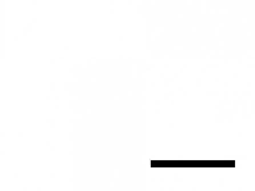 Immagine 5 di Appartamento in vendita  in Via Euste Nardi 8 - 63040 Venarotta (AP) a Venarotta