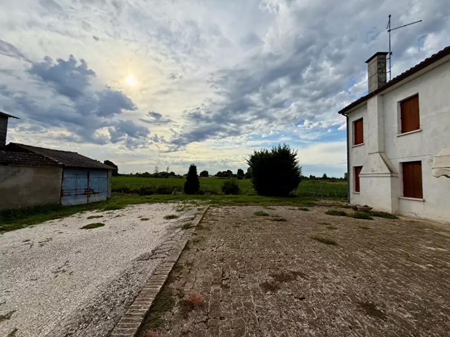 Immagine 25 di Casa indipendente in vendita  in Via Torino 1309 a Merlara