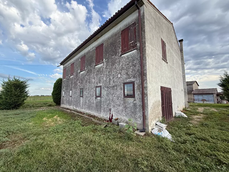 Immagine 26 di Casa indipendente in vendita  in Via Torino 1309 a Merlara