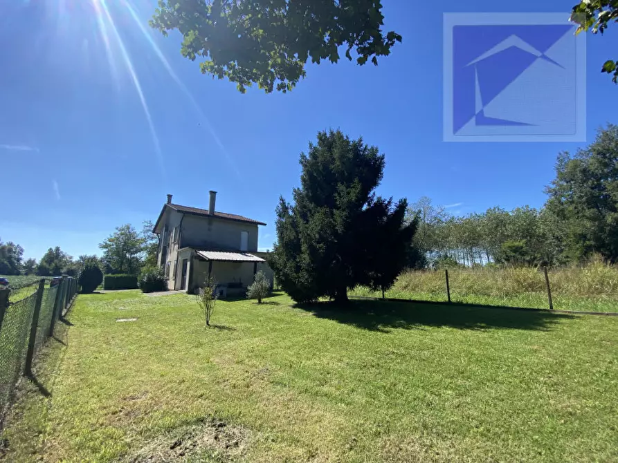 Immagine 5 di Casa indipendente in vendita  a Piombino Dese