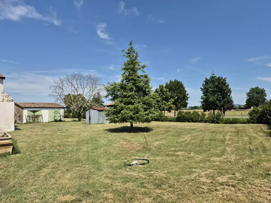 Immagine 4 di Villa in vendita  in via bel bacio 191 a Cesena