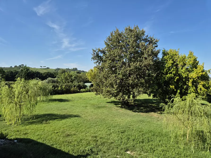 Immagine 7 di Villa in vendita  in via bel bacio 191 a Cesena