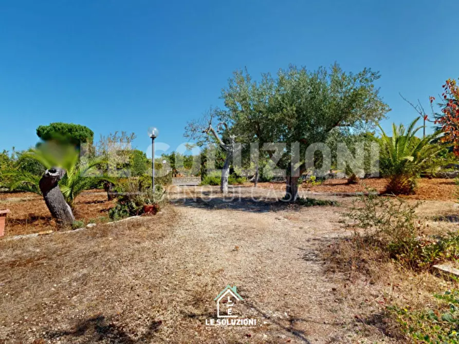 Immagine 5 di Rustico / casale in vendita  in Via alberobello SS172 118 a Putignano