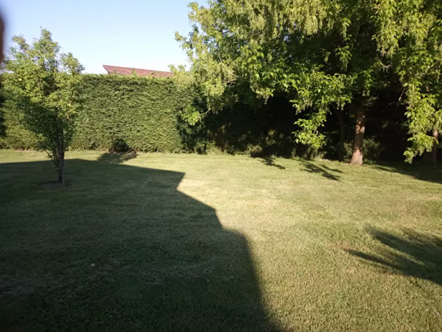 Immagine 6 di Casa indipendente in vendita  in via roma a Correzzola