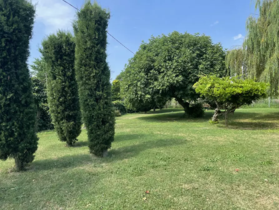 Immagine 9 di Casa indipendente in vendita  in via roma a Correzzola