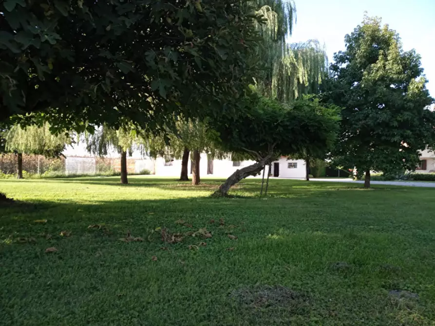 Immagine 11 di Casa indipendente in vendita  in via roma a Correzzola