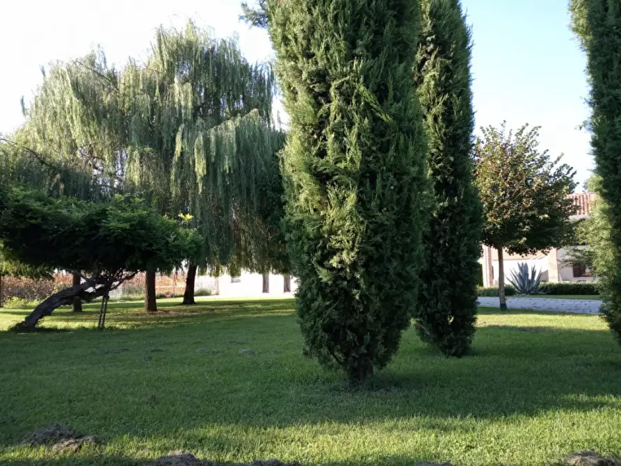 Immagine 12 di Casa indipendente in vendita  in via roma a Correzzola