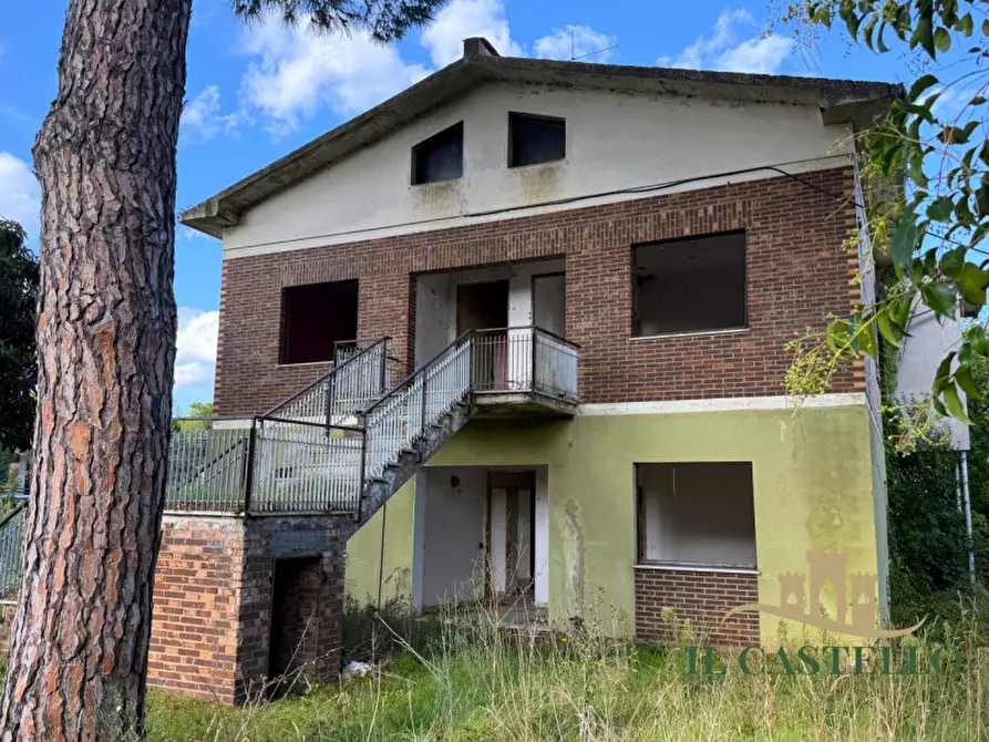 Immagine 3 di Casa indipendente in vendita  in rigutini a Castiglione Del Lago