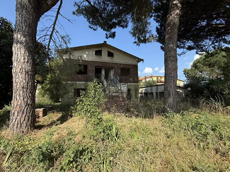 Immagine 11 di Casa indipendente in vendita  in rigutini a Castiglione Del Lago