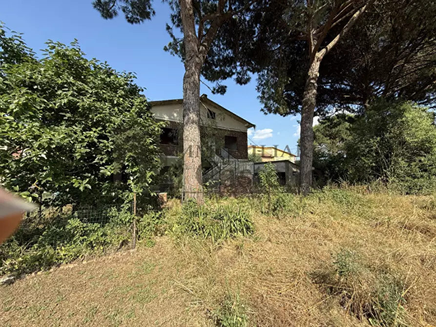 Immagine 13 di Casa indipendente in vendita  in rigutini a Castiglione Del Lago