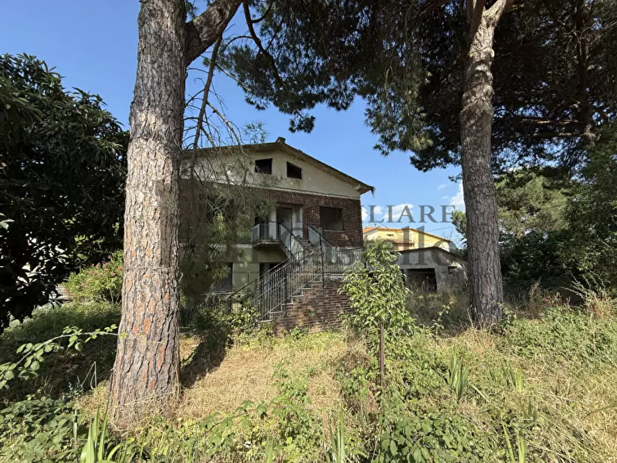 Immagine 14 di Casa indipendente in vendita  in rigutini a Castiglione Del Lago