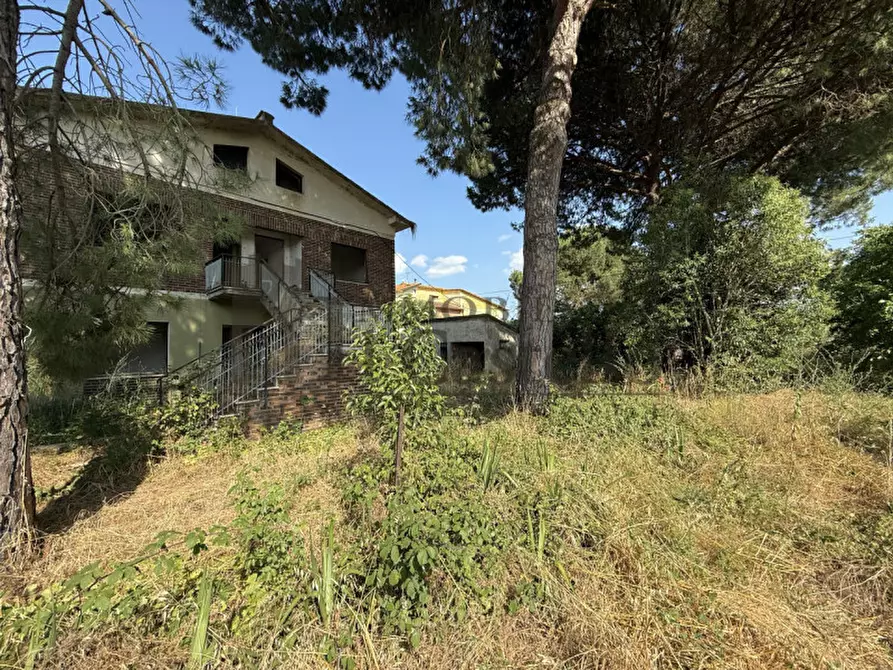 Immagine 15 di Casa indipendente in vendita  in rigutini a Castiglione Del Lago
