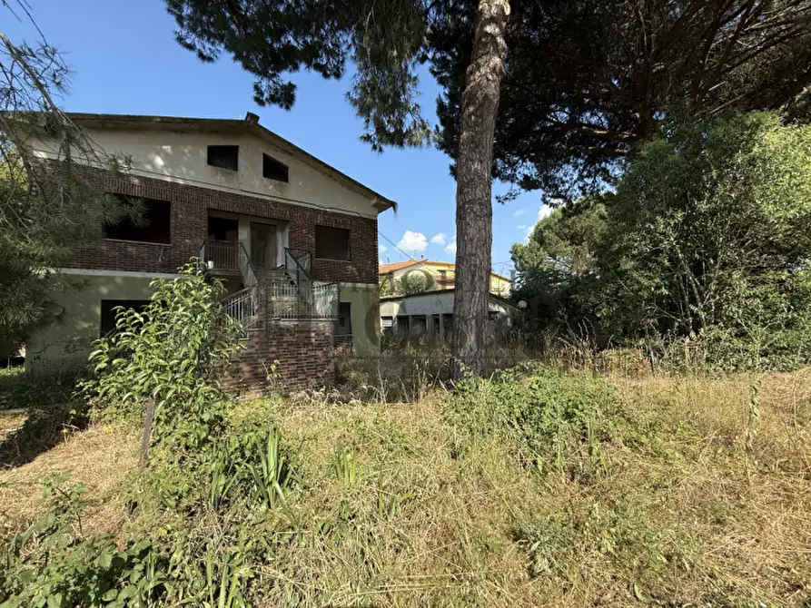Immagine 16 di Casa indipendente in vendita  in rigutini a Castiglione Del Lago