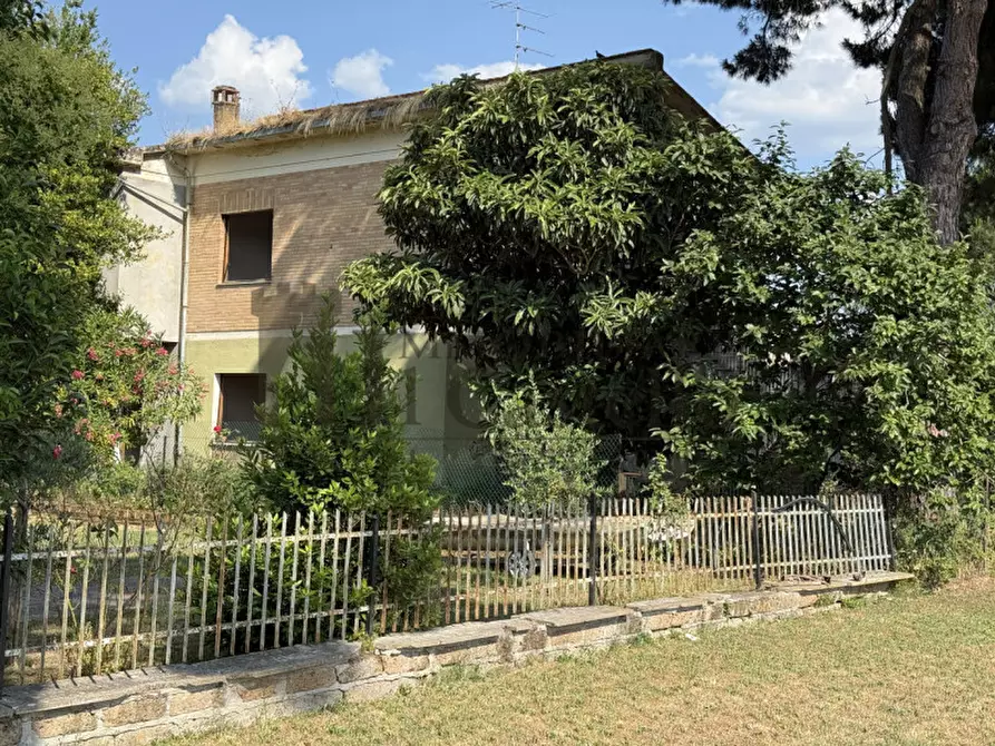 Immagine 18 di Casa indipendente in vendita  in rigutini a Castiglione Del Lago