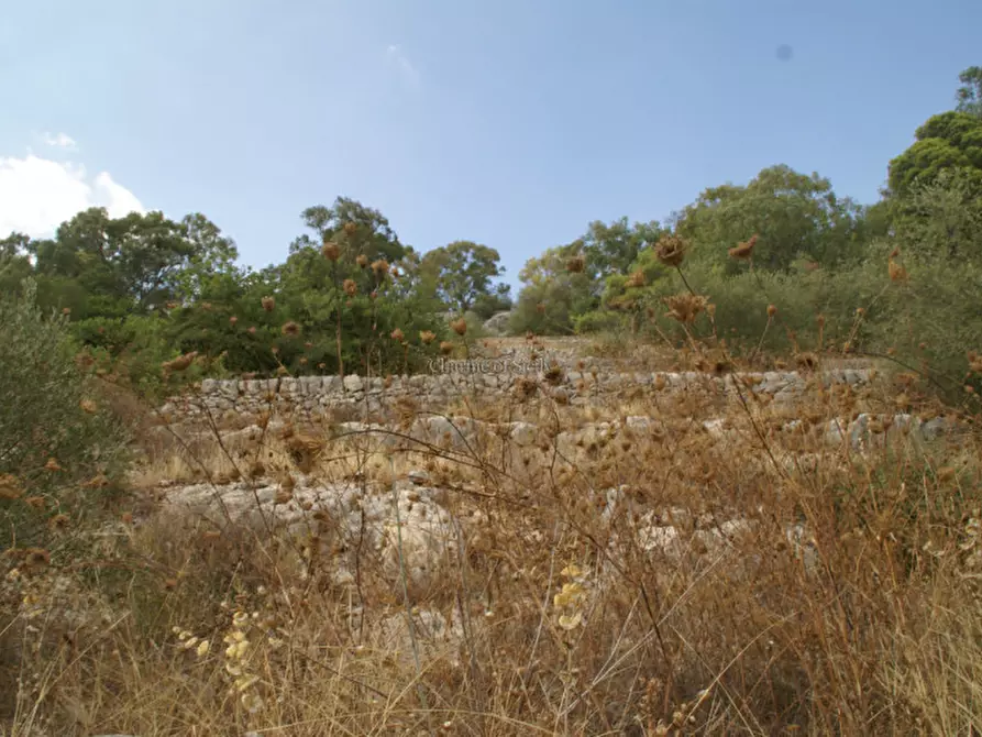 Immagine 9 di Terreno in vendita  a Modica